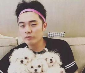 左伟爆料陈赫视频播放,真相与争议